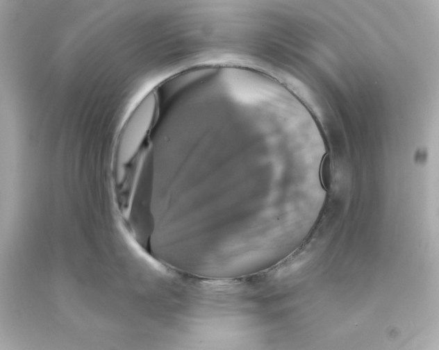 X0000093130863200710241321