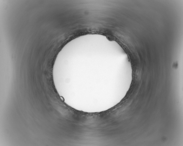 X0000093130865200710241321