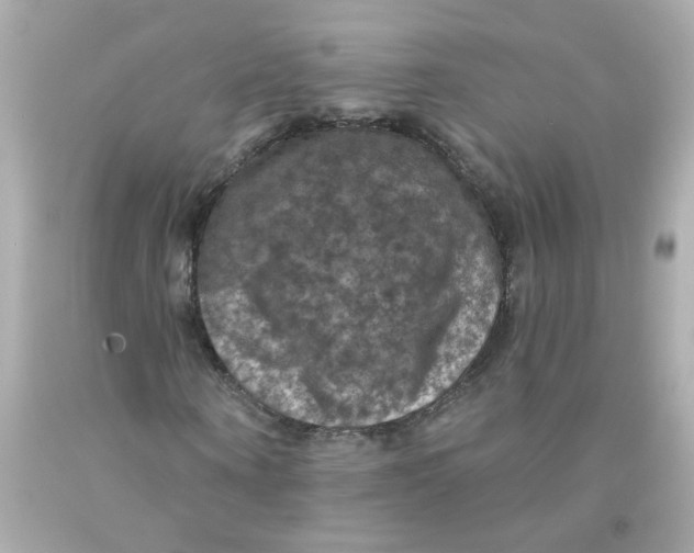 X0000093130866200710241321