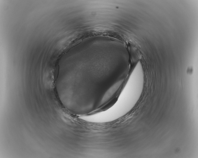 X0000093130868200710241321