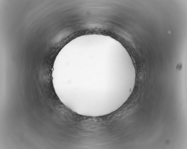 X0000093130869200710241321