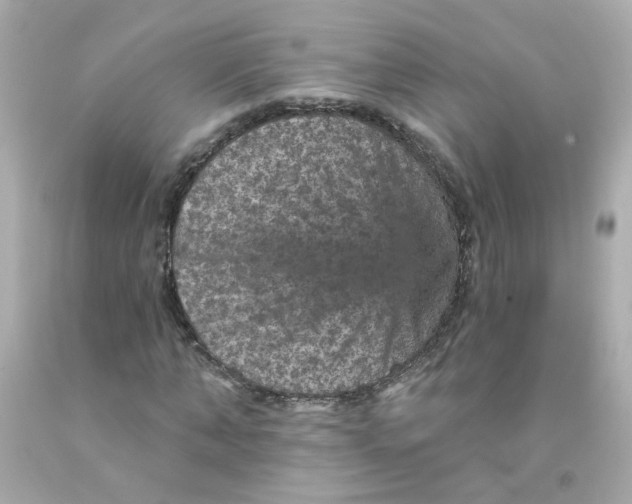 X0000093130870200710241320