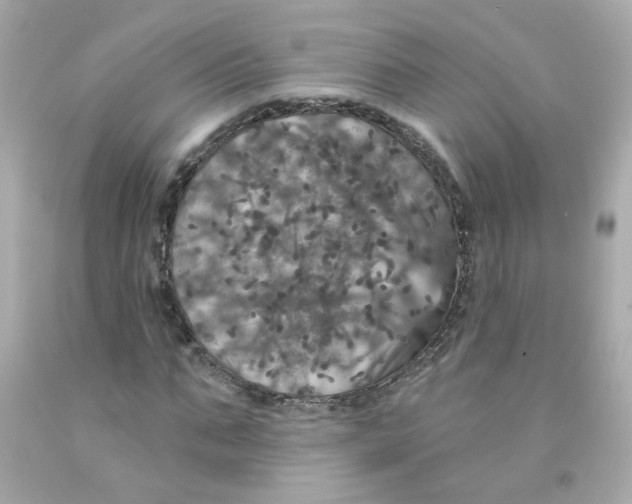 X0000093130871200710241320