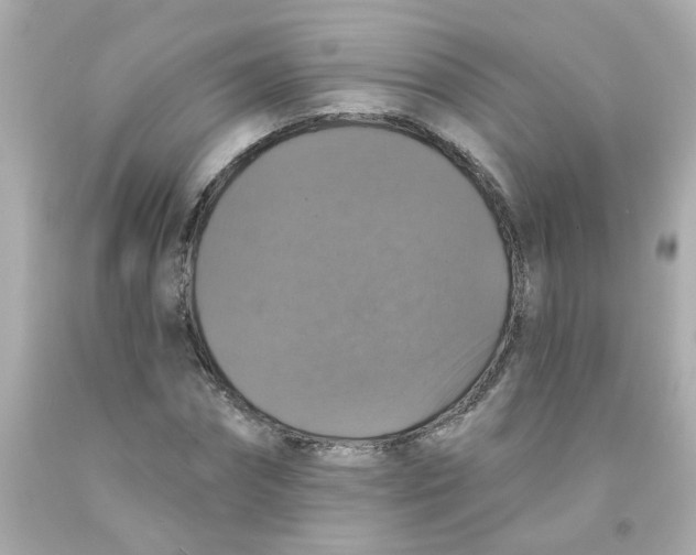 X0000093130874200710241320