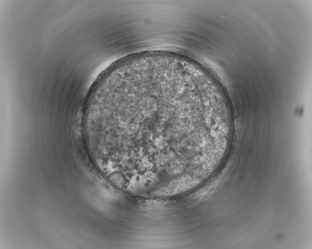 X0000093130875200710241320