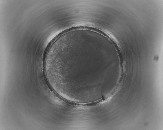 X0000093130877200710241320