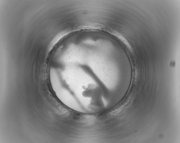 X0000093130878200710241320