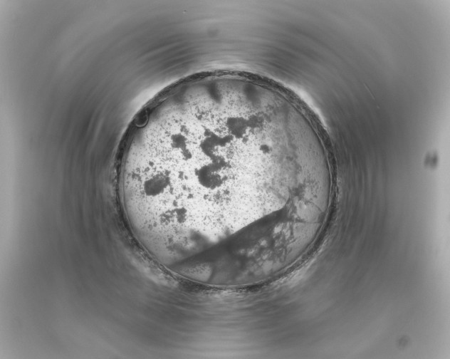 X0000093130879200710241320