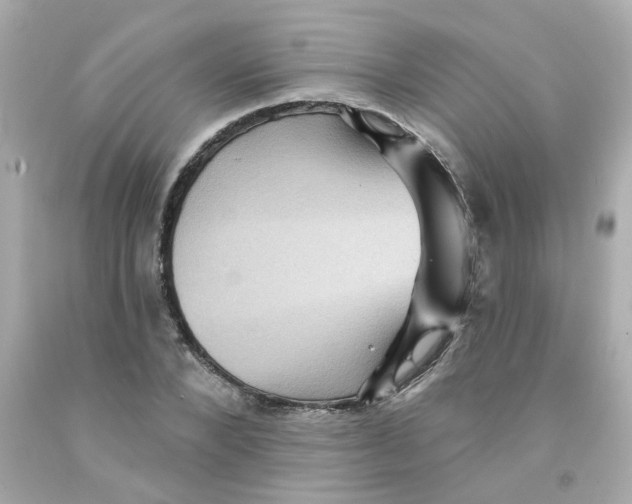 X0000093130880200710241320