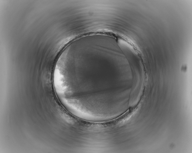 X0000093130881200710241320
