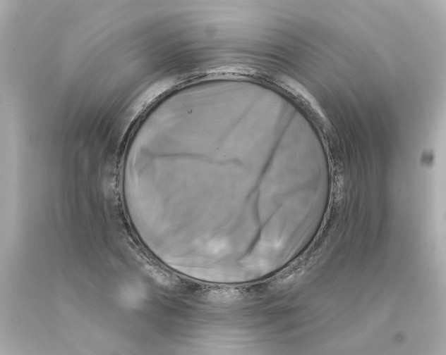 X0000093130882200710241320