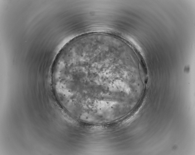 X0000093130883200710241320