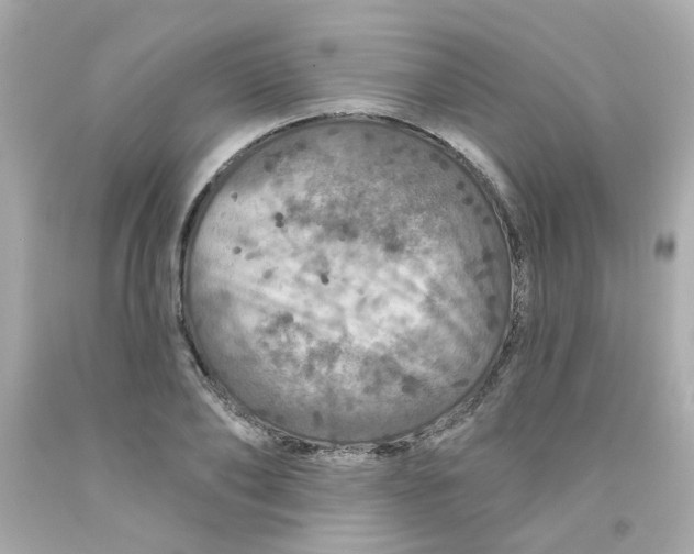 X0000093130886200710241320