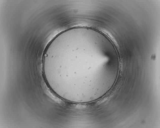 X0000093130890200710241320