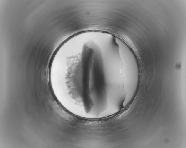 X0000093130892200710241320