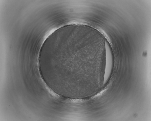X0000093130893200710241320