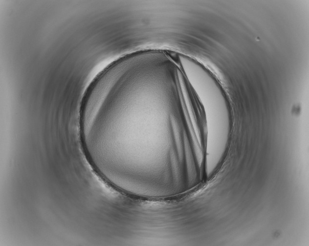 X0000093130894200710241320