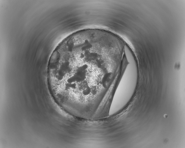 X0000093130895200710241320