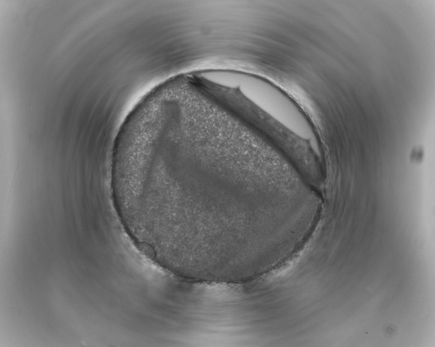 X0000093130896200710241320