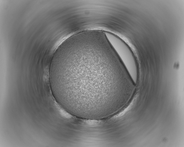 X0000093130897200710241320