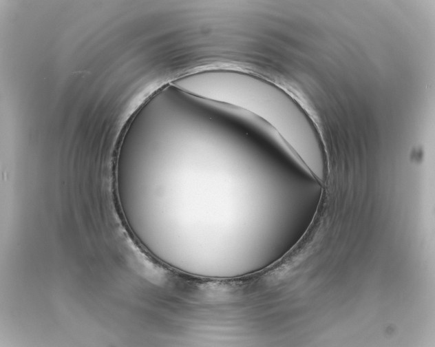 X0000093130898200710241320