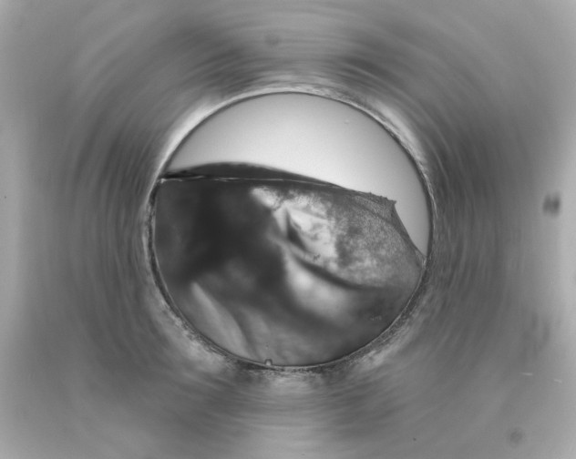 X0000093130899200710241320