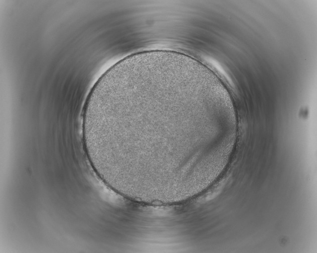 X0000093130900200710241320