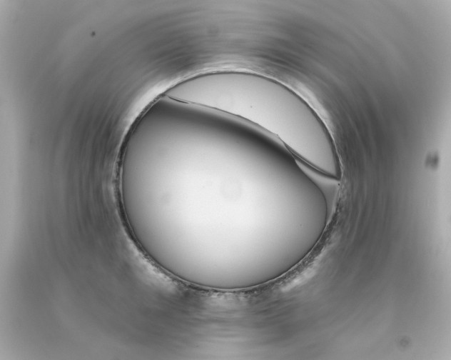X0000093130901200710241320