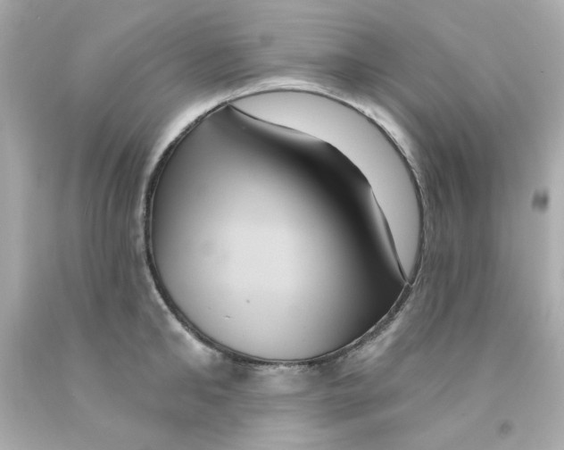 X0000093130902200710241320