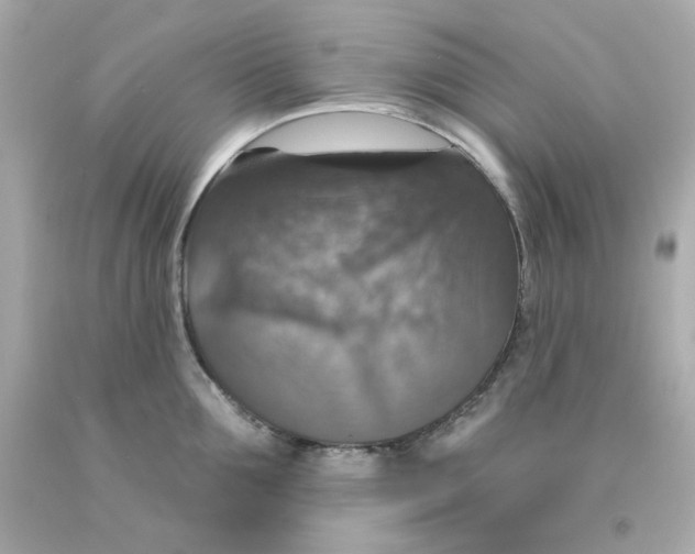X0000093130907200710241320