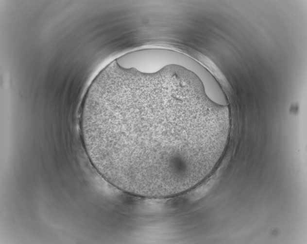 X0000093130908200710241320