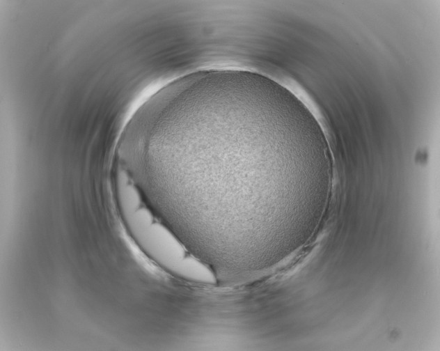 X0000093130909200710241320