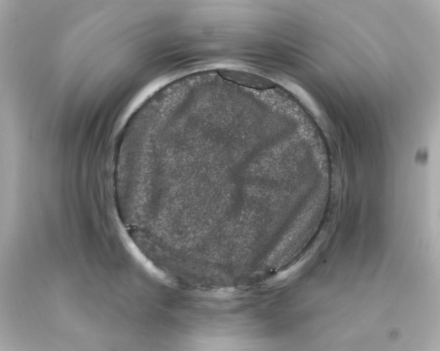 X0000093130910200710241320