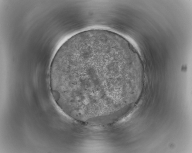 X0000093130911200710241320