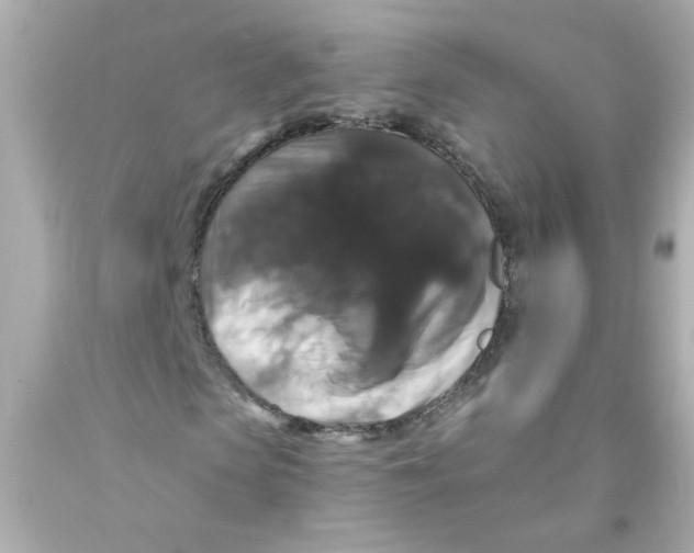 X0000093130913200710241319