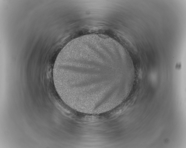 X0000093130914200710241319
