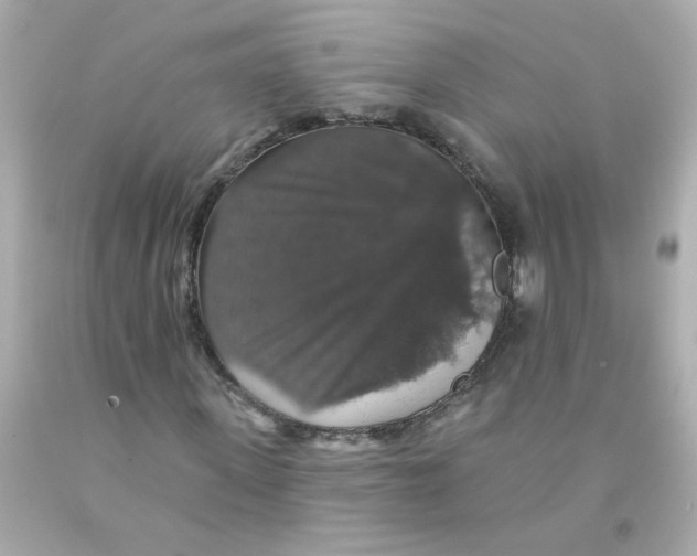 X0000093130915200710241319