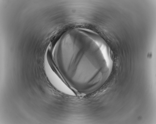 X0000093130916200710241319