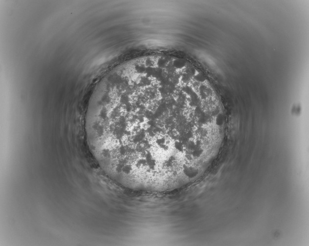 X0000093130917200710241319