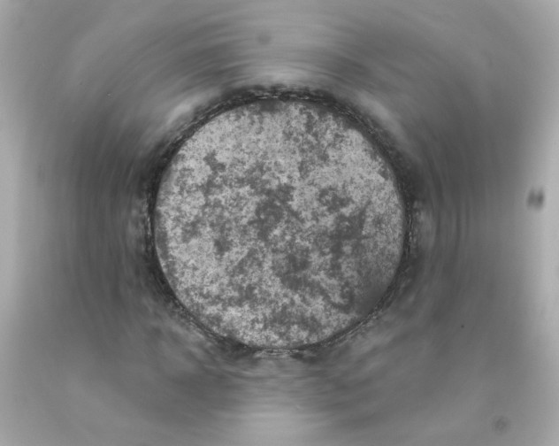 X0000093130918200710241319