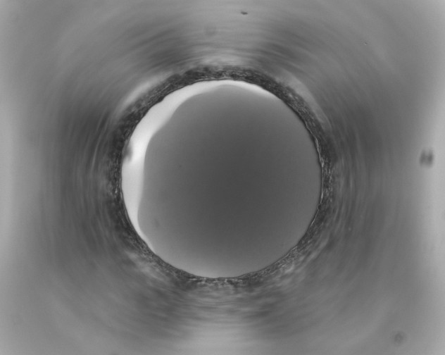 X0000093130919200710241319