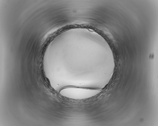 X0000093130920200710241319