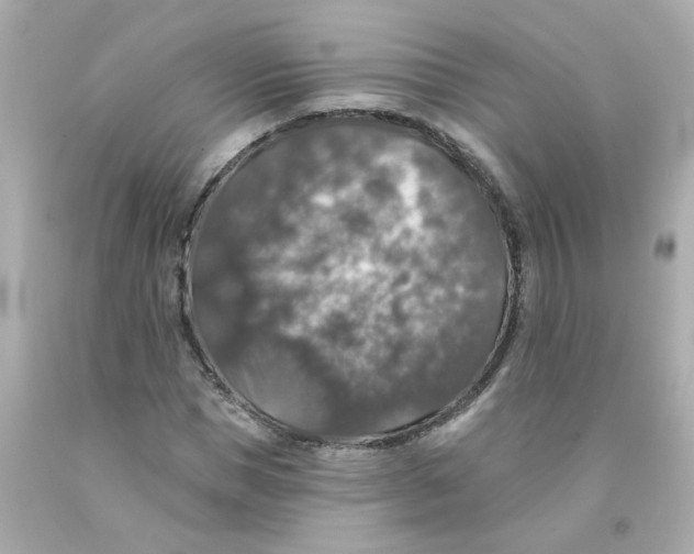 X0000093130921200710241319