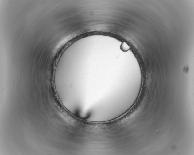 X0000093130922200710241319