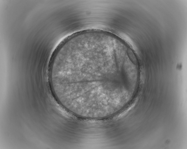 X0000093130924200710241320