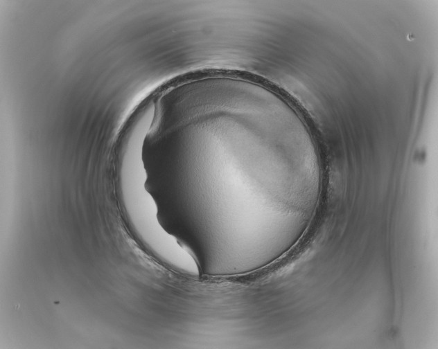 X0000093130926200710241320