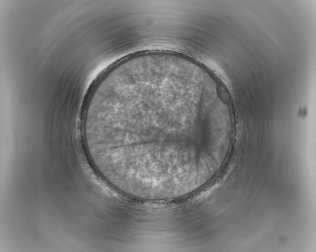 X0000093130928200710241320