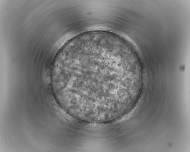 X0000093130929200710241320