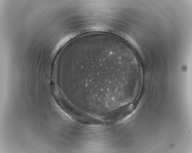 X0000093130930200710241320