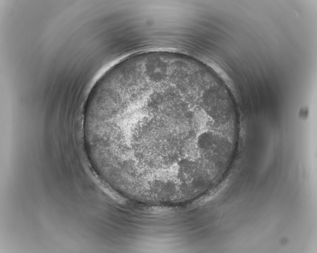 X0000093130933200710241320